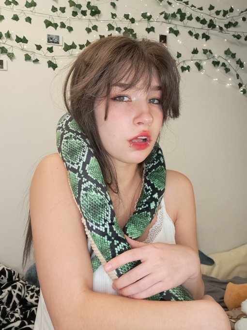 Zdjęcia i filmy Alexa (Aleks's pics and videos)
